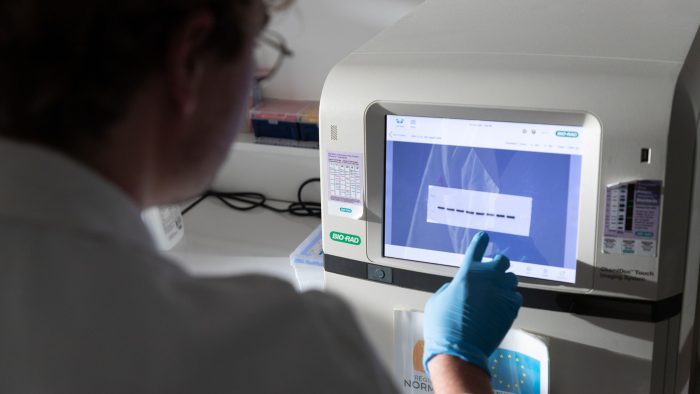 Recherche Santé équine Génie Biologique