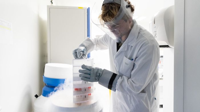 Recherche Génie Biologique Santé Equine