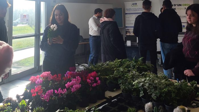 Braderie solidaire IUT GON Plantes